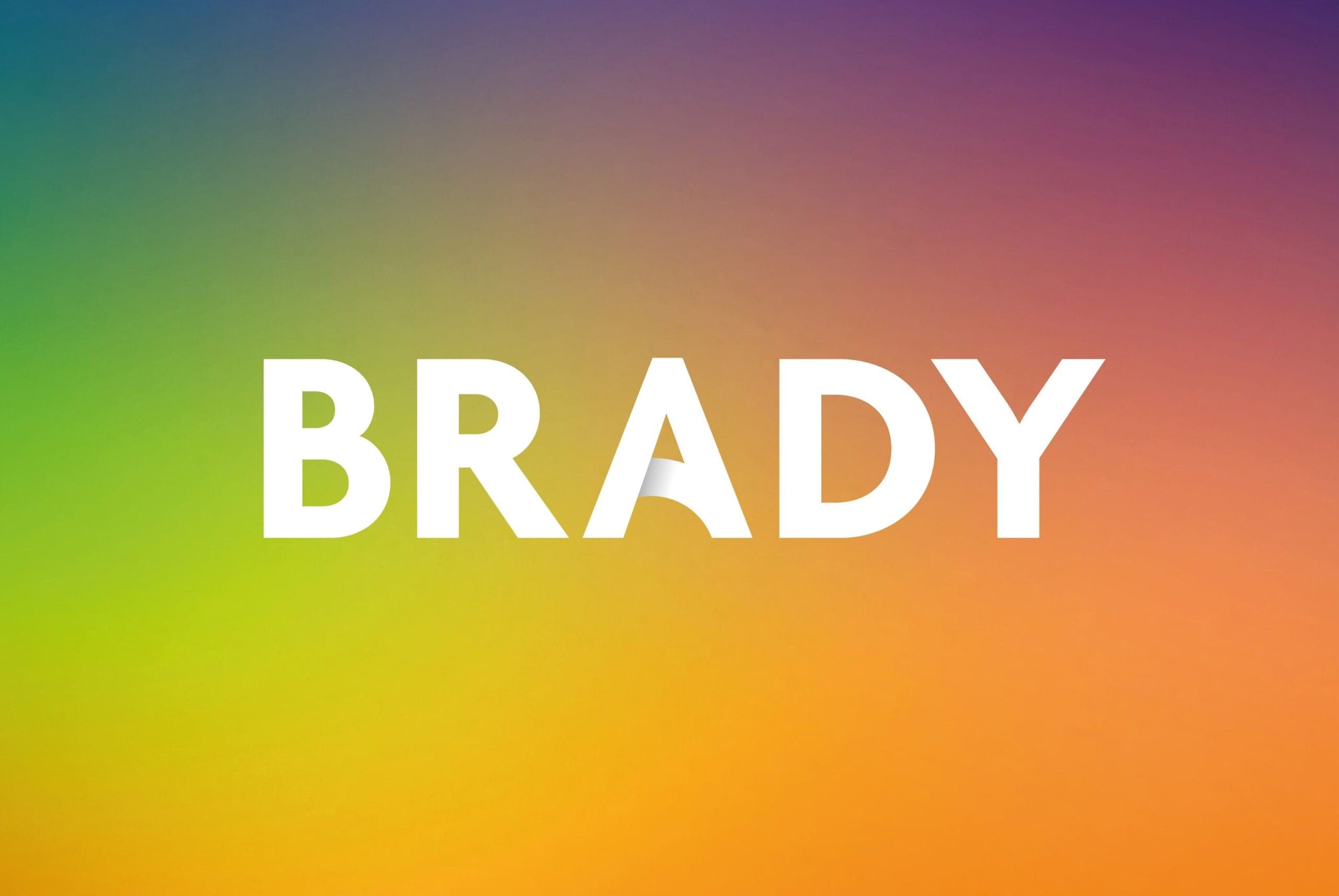 Brady brand identity