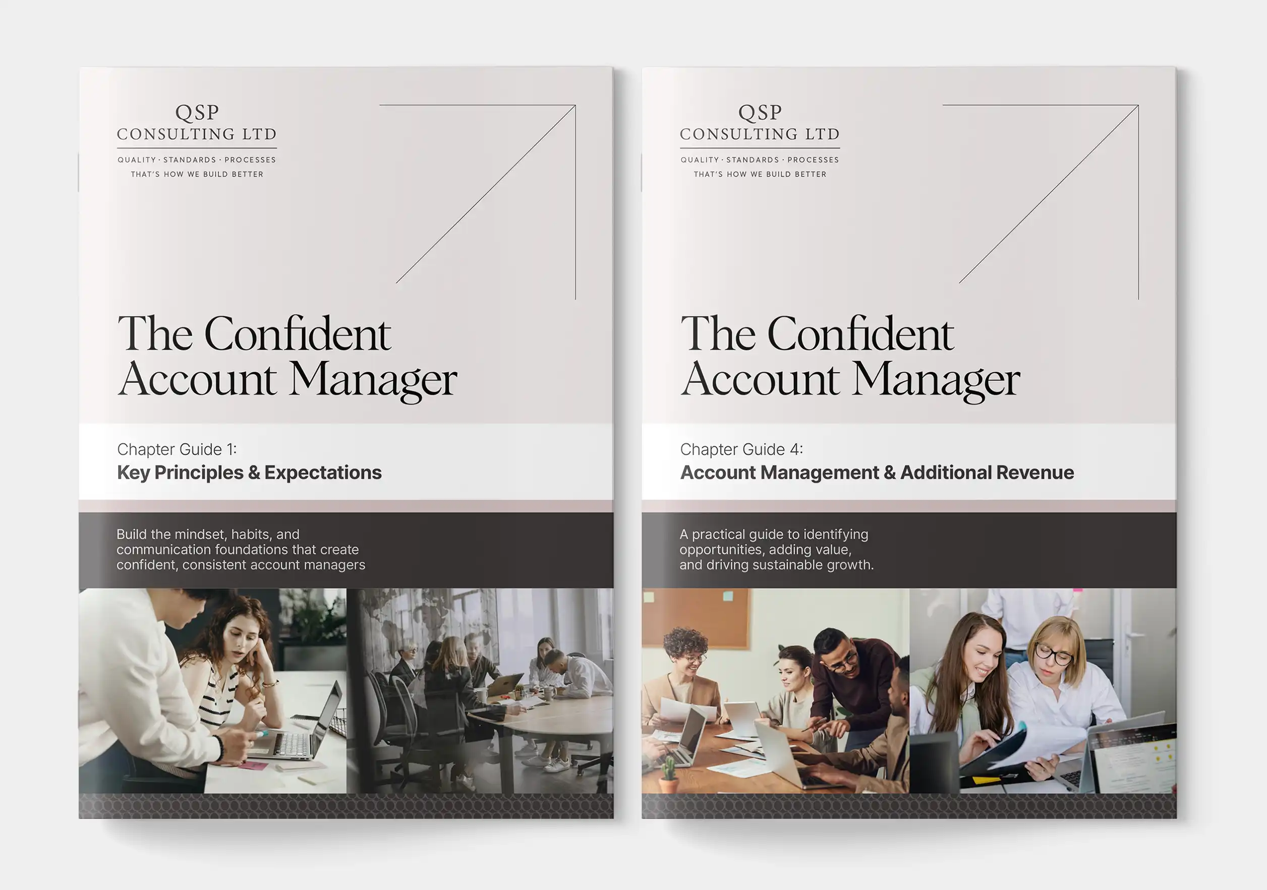 QSP Consulting Playbook Design QSP Consulting Playbook Design