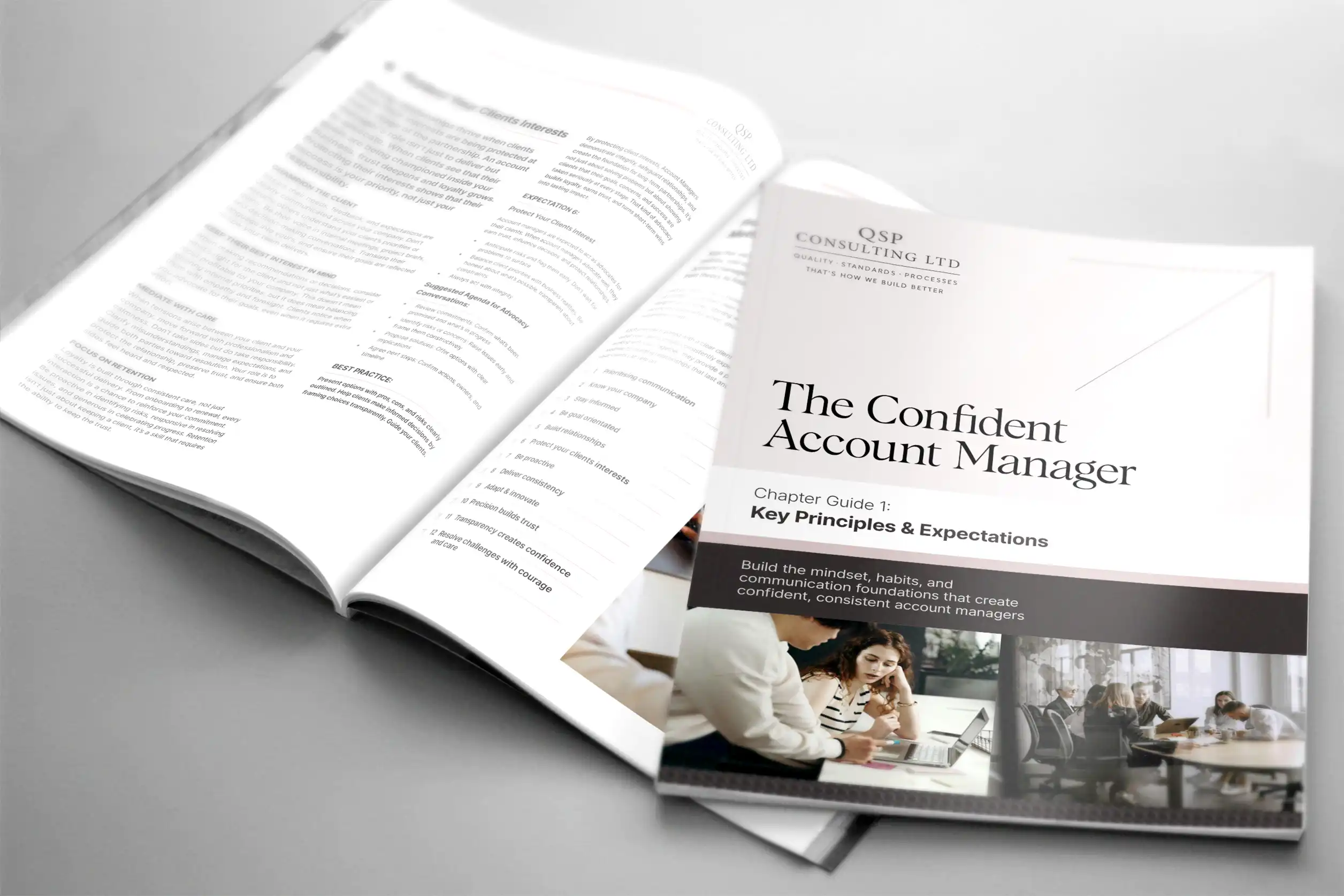 QSP Consulting Playbook Sample Spread Design QSP Consulting Playbook Sample Spread Design